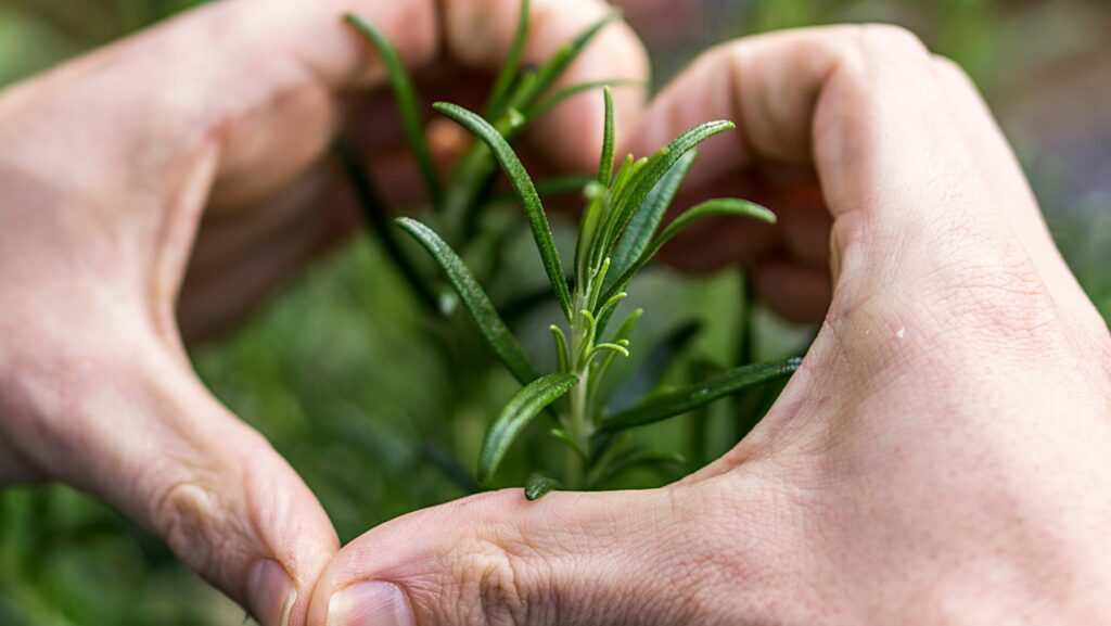 Gardening Express